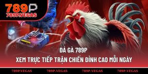 Đá gà 789P