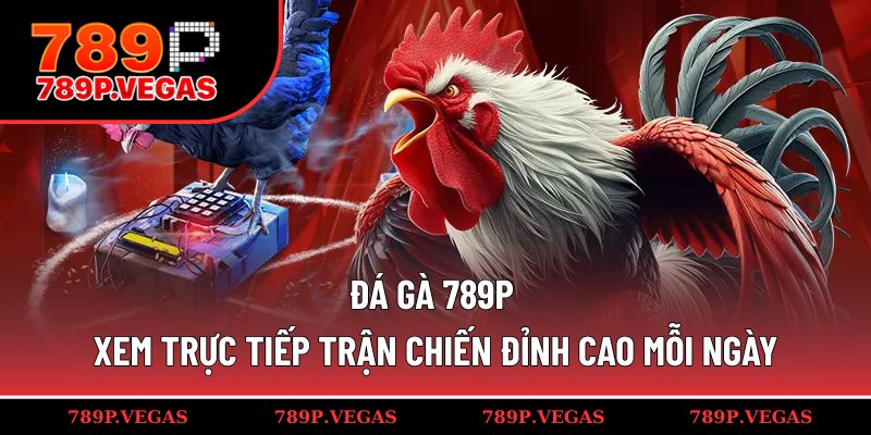 Đá gà 789P