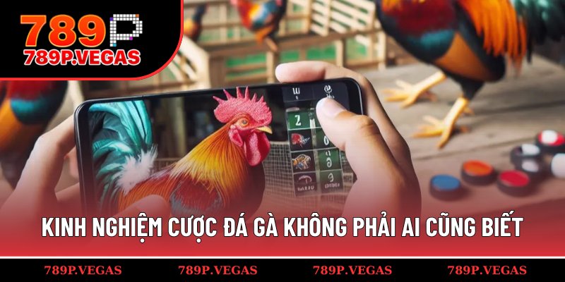 Chia sẻ bí kíp cá cược đá gà vô cùng hiệu quả