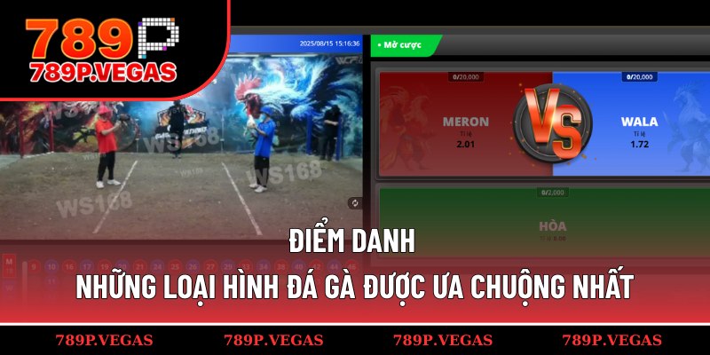 Những hình thức đá gà hot nhất 2025