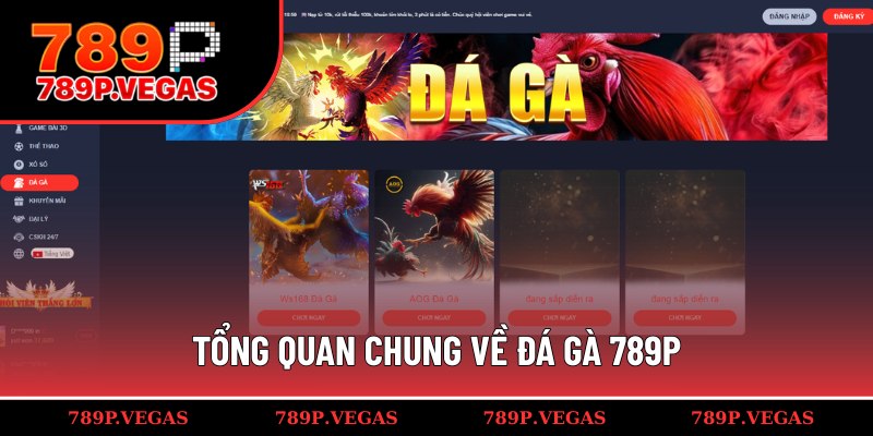 Sơ lược chung về đá gà 789P