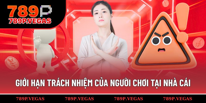 Người chơi sẽ chịu trách nhiệm cho mọi quyết định